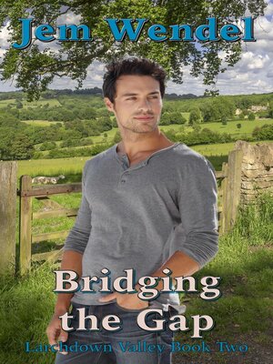cover image of Bridging the Gap